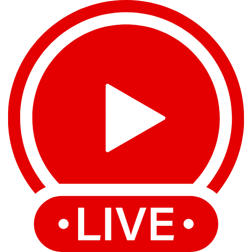 Dildo Panties | Live Webcam Shows & Interactive Adult Entertainment